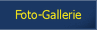 Foto-Gallerie